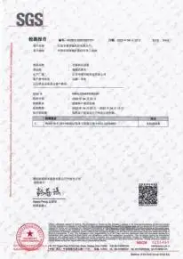 SGS report · page 1