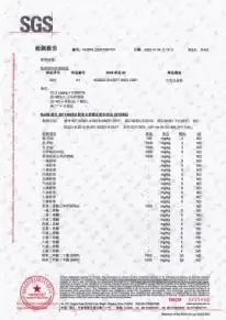 SGS report · page 2